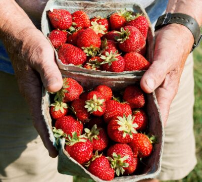 strawberries